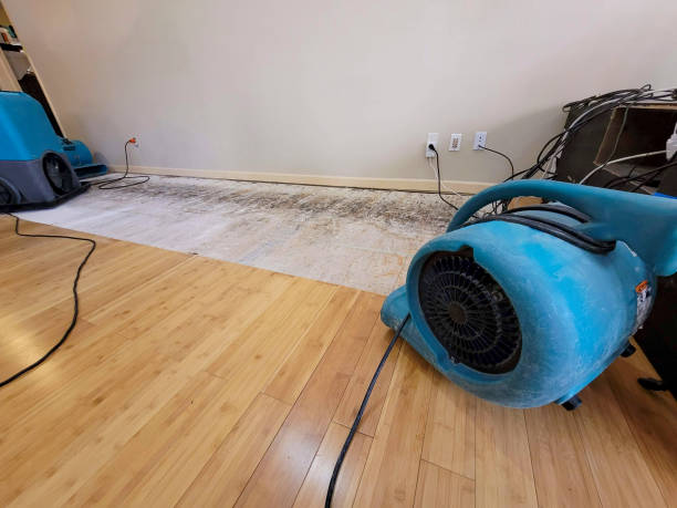 Professional Water Damage Repair technician working in Northfield, KY